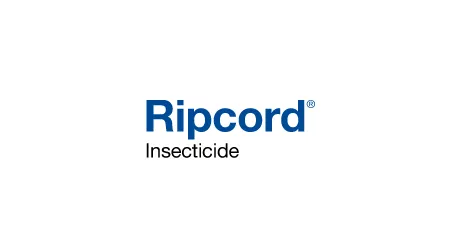 Ripcord Insecticide by BASF - New Zealand